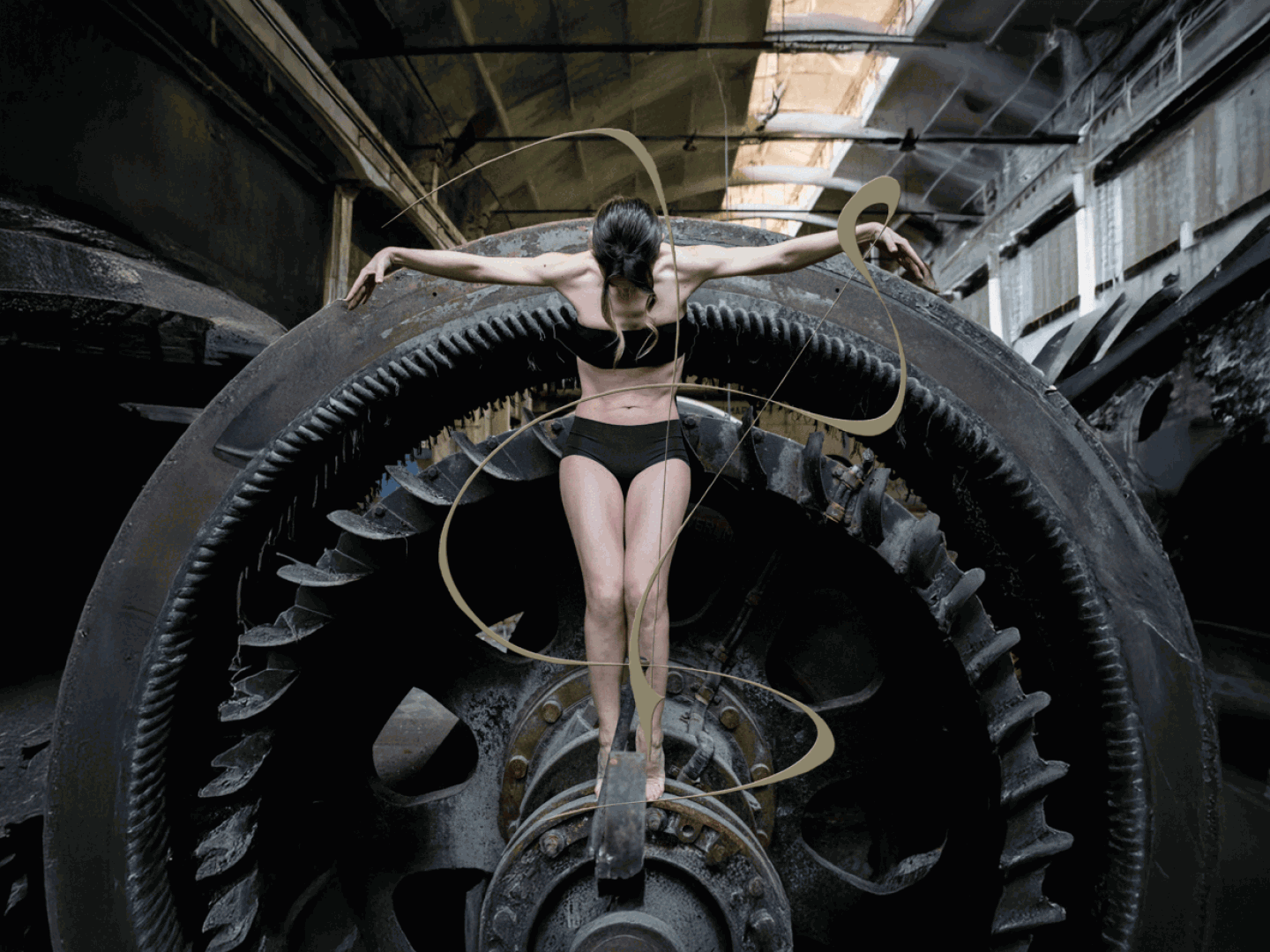 Piconi-formati---cover-sito